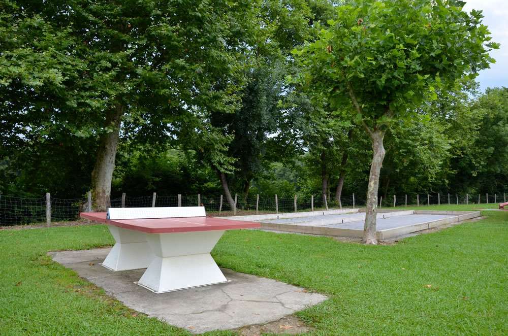 Ping Pong